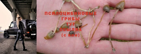 экстази Балабаново