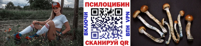 цены   Новомичуринск  дарк нет телеграм  Галлюциногенные грибы прущие грибы  omg онион 